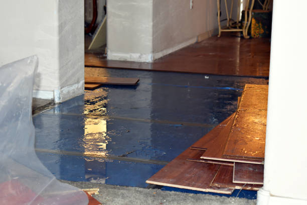 Professional Basement Flood Cleanup technician working in Red House, WV